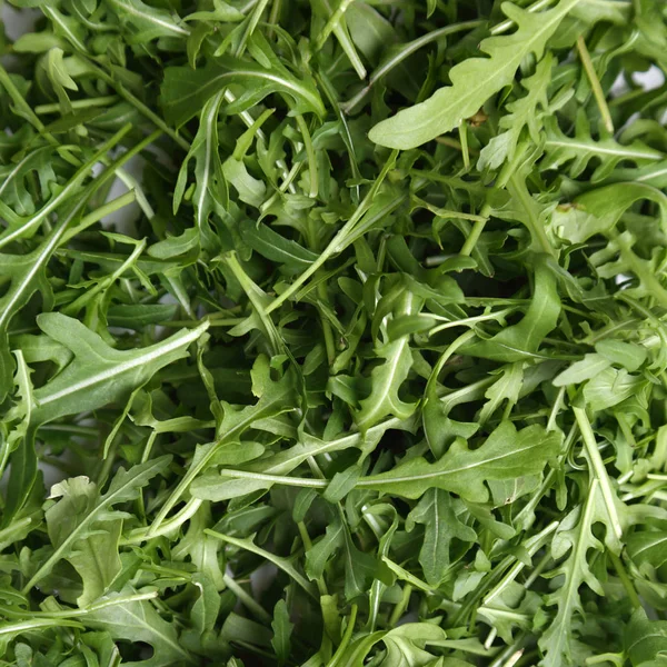 Organic Green Fresh Arugula Rucola Rukola — Stock Photo, Image