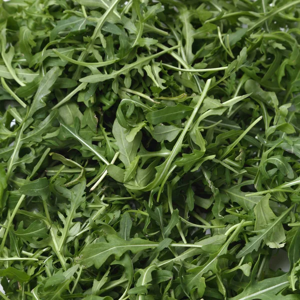 Organic Green Fresh Arugula Rucola Rukola — Stock Photo, Image