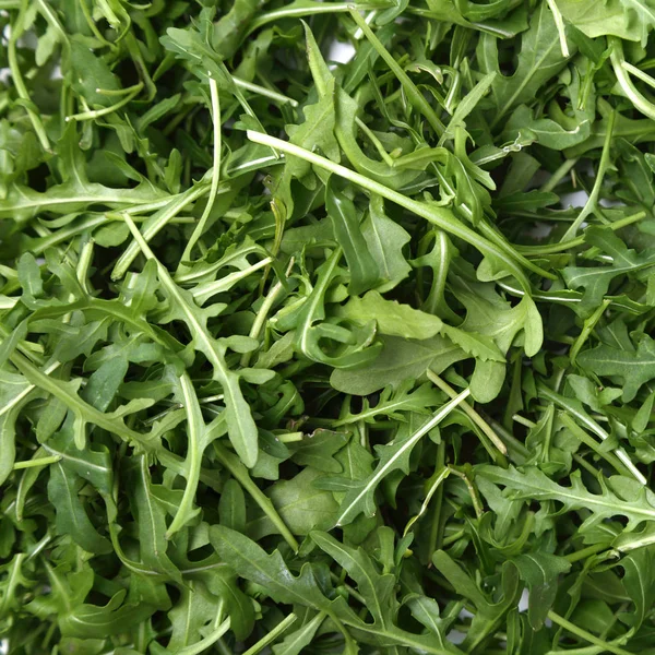 Organik yeşil ve taze roka (rucola veya rukola)