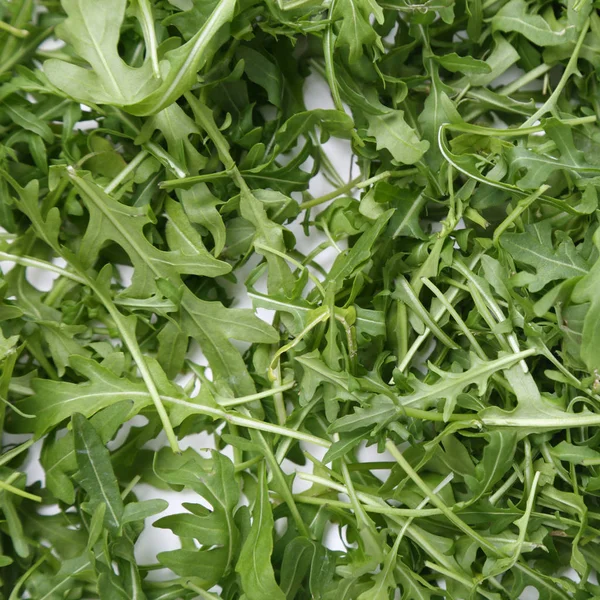 Organic Green Fresh Arugula Rucola Rukola — Stock Photo, Image