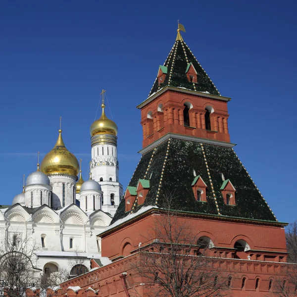 Buiten Uitzicht Het Kremlin Details Van Achtergrond Van Dijk Van — Stockfoto