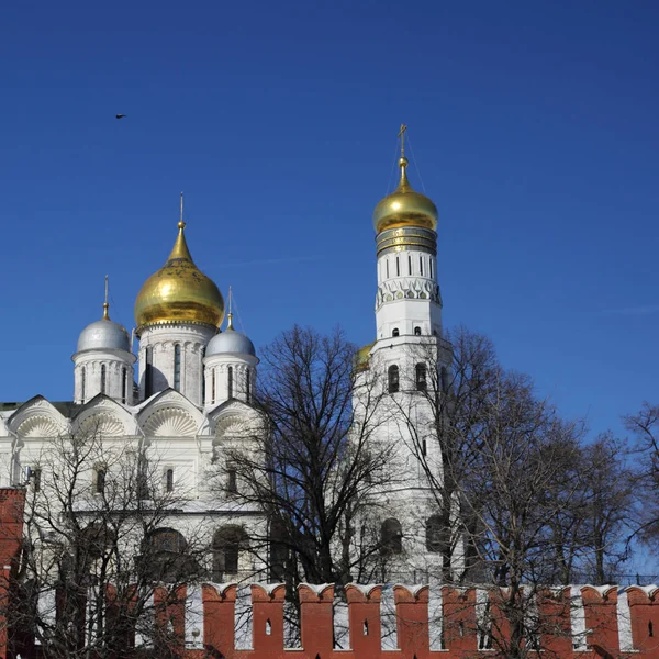 Utomhus Syn Kreml Detaljer Från Bakgrund Kremlevskaya Vallen Solig Dag — Stockfoto