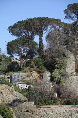 İtalya, Portofino Akdeniz'in en iyi görünümü 