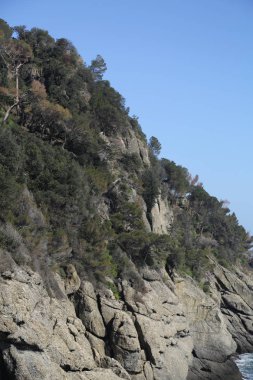 İtalya, Portofino Akdeniz'in en iyi görünümü 