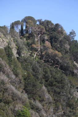 İtalya, Portofino Akdeniz'in en iyi görünümü 
