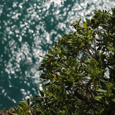 Akdeniz'de İtalya, Portofin üstün görünümünü