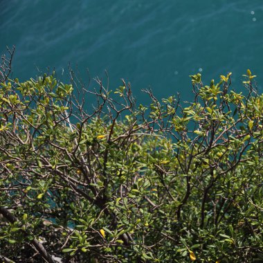 Akdeniz'de İtalya, Portofin üstün görünümünü