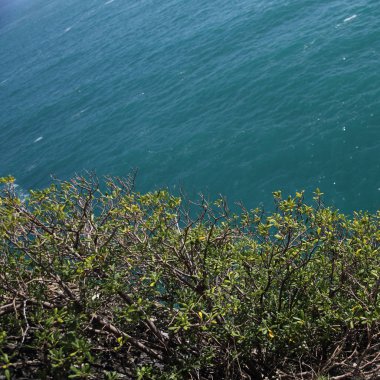 Akdeniz'de İtalya, Portofin üstün görünümünü