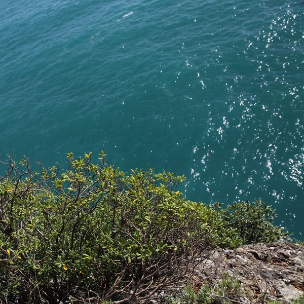 Можливо Помилуватися Прекрасним Видом Середземне Море Італія Portofin — стокове фото
