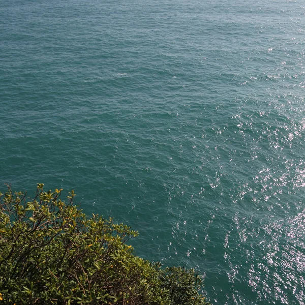 Widok Morza Śródziemnego Włoszech Portofin — Zdjęcie stockowe