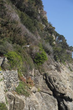 Akdeniz'de İtalya, Portofin üstün görünümünü