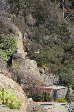 Akdeniz'de İtalya, Portofin üstün görünümünü