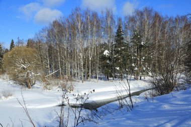 Kış manzara Rusya Moskova bölgesi