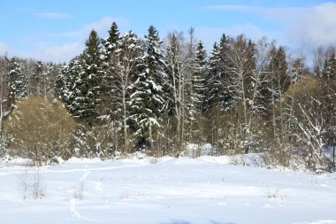 Kış manzara Rusya Moskova bölgesi