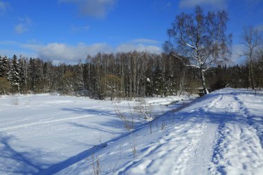 Kış manzara Rusya Moskova bölgesi