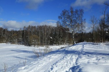 Kış manzara Rusya Moskova bölgesi