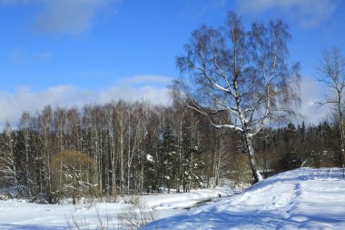 Kış manzara Rusya Moskova bölgesi