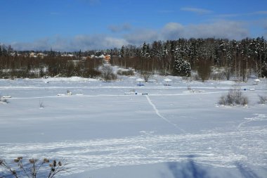 Kış manzara Rusya Moskova bölgesi