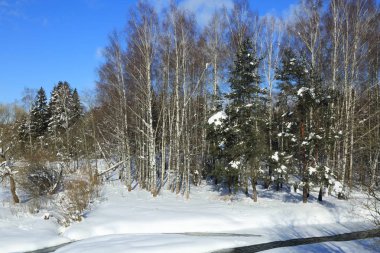 Kış manzara Rusya Moskova bölgesi