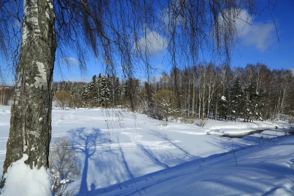 冬の風景 ロシア モスクワ地域 — ストック写真