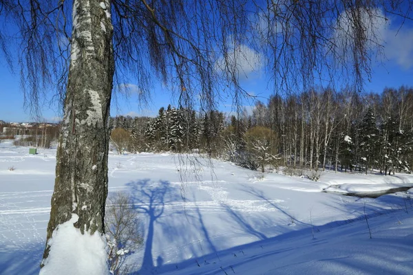冬の風景 ロシア モスクワ地域 — ストック写真