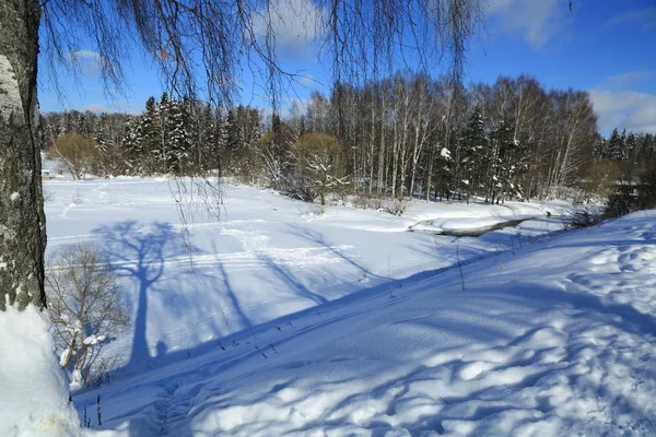 Winterlandschaft Russland Moskauer Region — Stockfoto