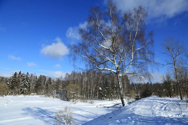 Paisagem Inverno Rússia Moscou Região — Fotografia de Stock