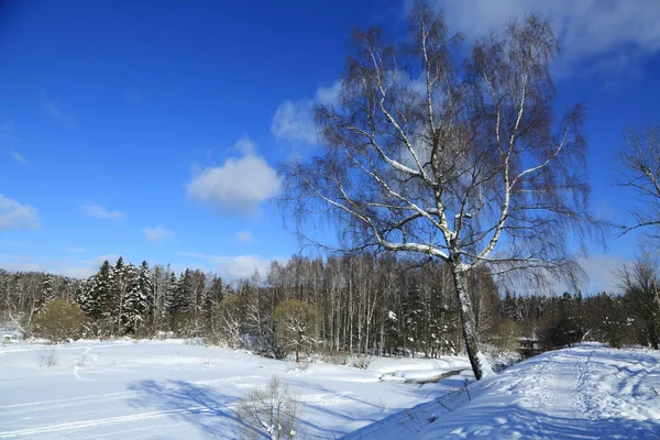 Paysage Hiver Russie Région Moscou — Photo