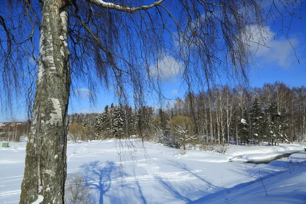 Paisagem Inverno Rússia Moscou Região — Fotografia de Stock