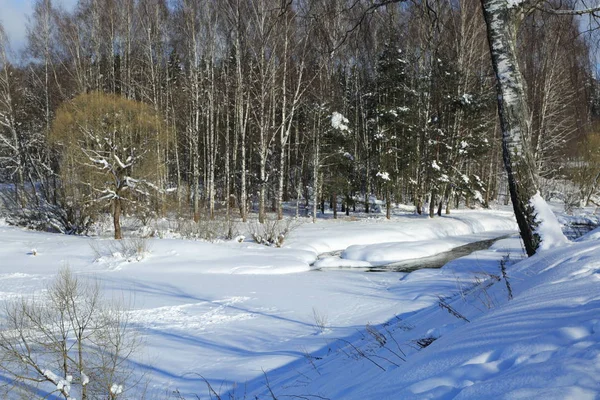 Winter Landscape Russia Moscow Region — Stock Photo, Image