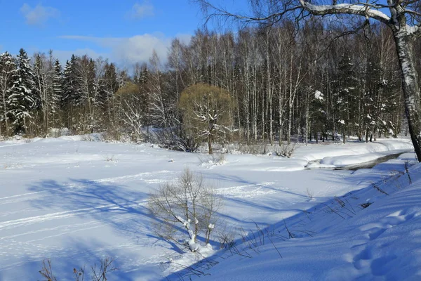 Winterlandschaft Russland Moskauer Region — Stockfoto