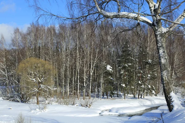 Paysage Hiver Russie Région Moscou — Photo