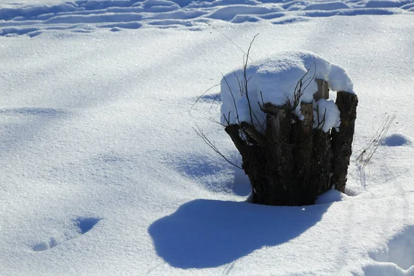 屋外の雪のテクスチャの背景 — ストック写真