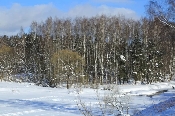 Winterlandschaft Russland Moskauer Region — Stockfoto