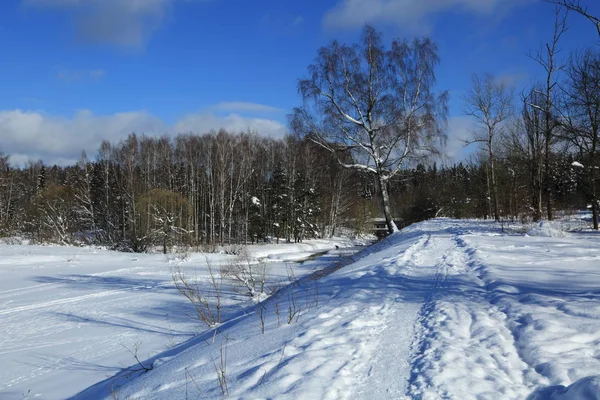 Winterlandschaft Russland Moskauer Region — Stockfoto