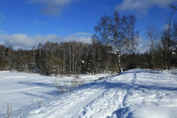 Winterlandschaft Russland Moskauer Region — Stockfoto