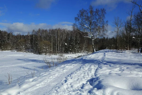 Paisagem Inverno Rússia Moscou Região — Fotografia de Stock