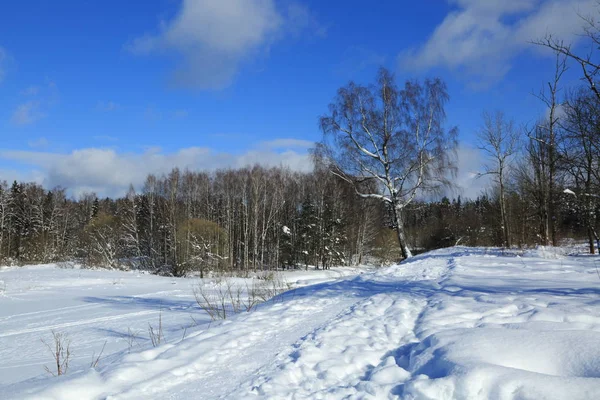 Winterlandschaft Russland Moskauer Region — Stockfoto