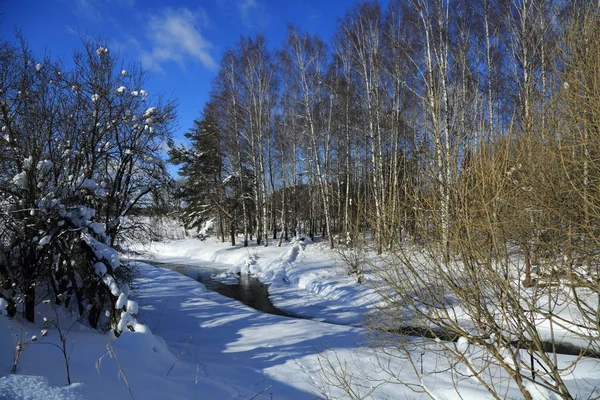 Zimní Krajina Ruská Moskva — Stock fotografie