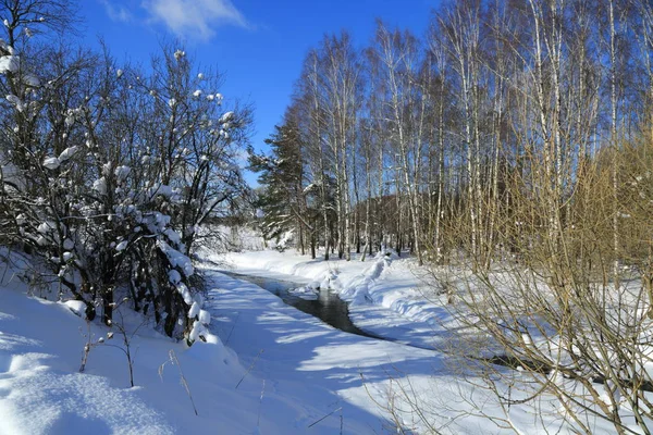 Winterlandschaft Russland Moskauer Region — Stockfoto