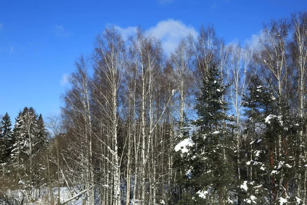 冬季景观俄罗斯莫斯科地区 — 图库照片