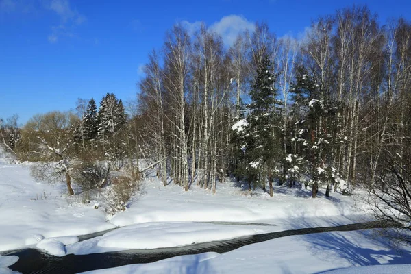 Zima Krajobraz Rosja Moscow Region — Zdjęcie stockowe