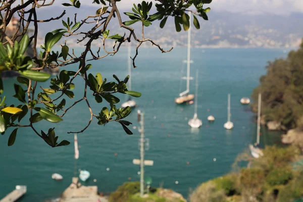 Portofino Itália Abril 2018 Férias Luxuosas Italianas Belo Portofino Costa — Fotografia de Stock