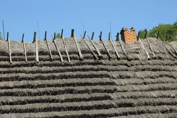 ポーランドの伝統的な木造住宅の屋根をわら — ストック写真
