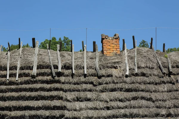 波兰传统木屋的草皮屋顶 — 图库照片