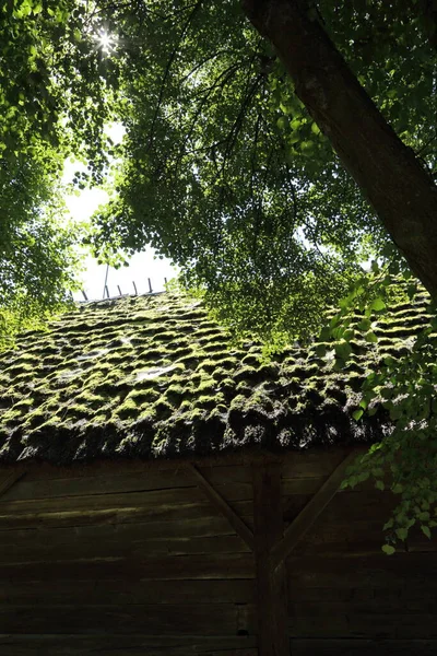 Polonya Geleneksel Ahşap Evde Saman Çatı — Stok fotoğraf