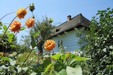 Polonya 'da geleneksel ahşap evler. Kırsaldaki otantik ve tarihi kır evleri. Polonya köyündeki etnografik binalar..