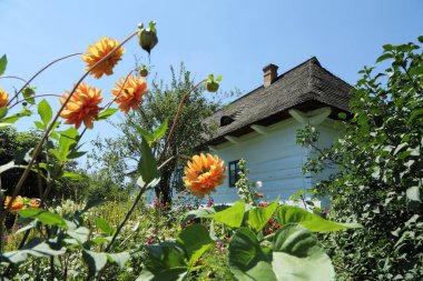 Polonya 'da geleneksel ahşap evler. Kırsaldaki otantik ve tarihi kır evleri. Polonya köyündeki etnografik binalar..