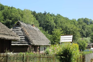 Polonya 'da geleneksel ahşap evler. Kırsaldaki otantik ve tarihi kır evleri. Polonya köyündeki etnografik binalar..