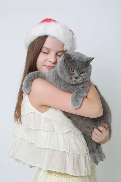 Miss Santa Cat — Stock Photo, Image